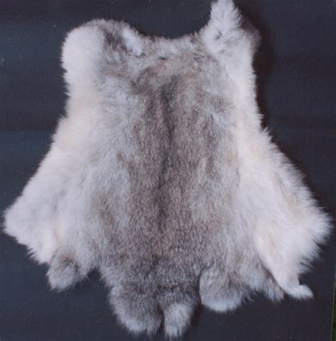 PELT definition and meaning .